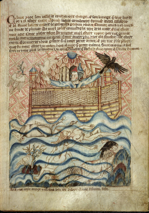 mrsociologicalmemoryman:Noah and the Ark. Holkham Bible. London?, England, second quarter of the 14t