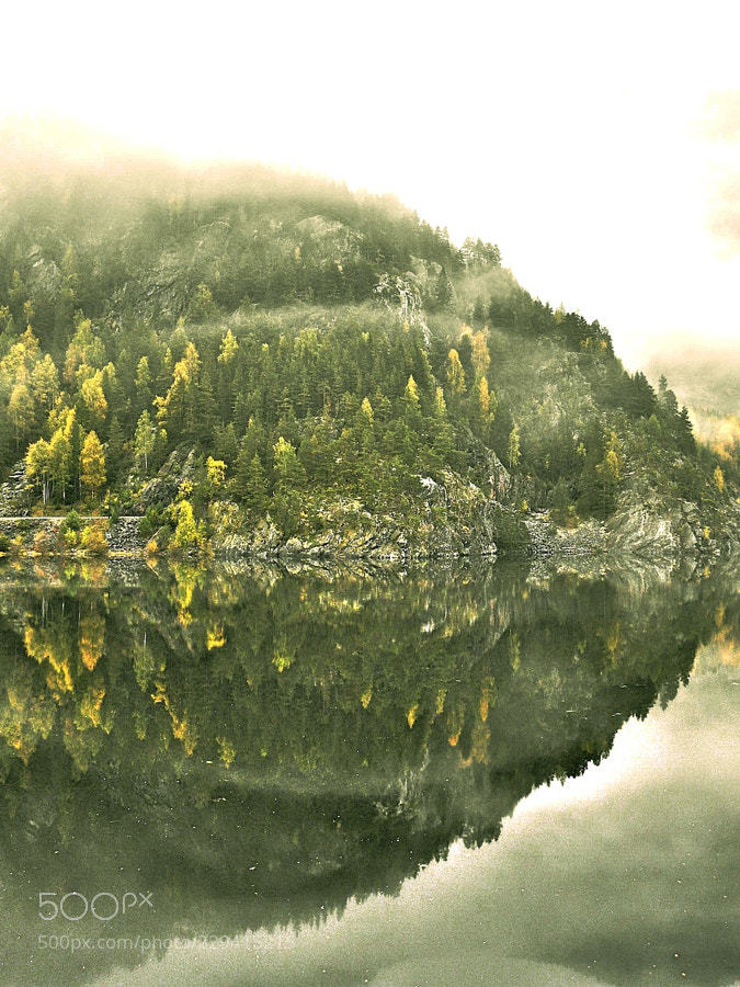 socialfoto:In a foggy environment by mariuszjaszcz22 #SocialFoto