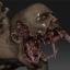 carrionjagg