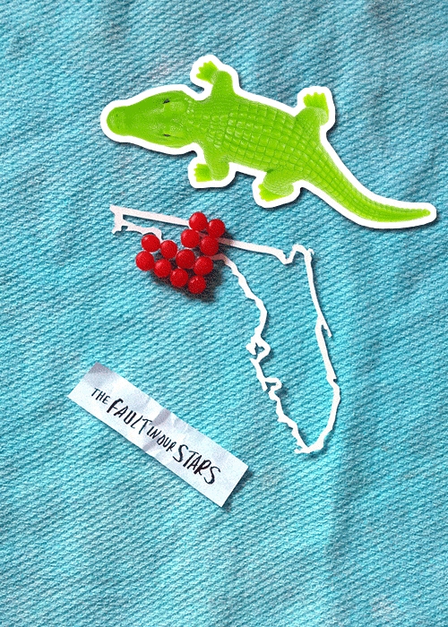faultinourstarsmovie:  One note = one vote. Like or reblog to vote for your state!