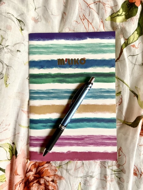 seltzerstudies