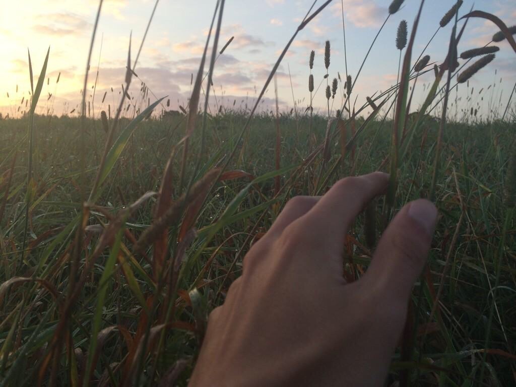 joshmuratori:  I’ve touched
