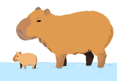 ohh capybara its a dog made of coconut Capybaras (Dogs of coconut)2021High res. and Transparent vers