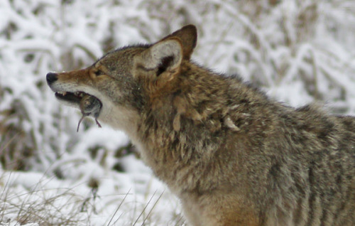 yipyapyote:   uwspphoto