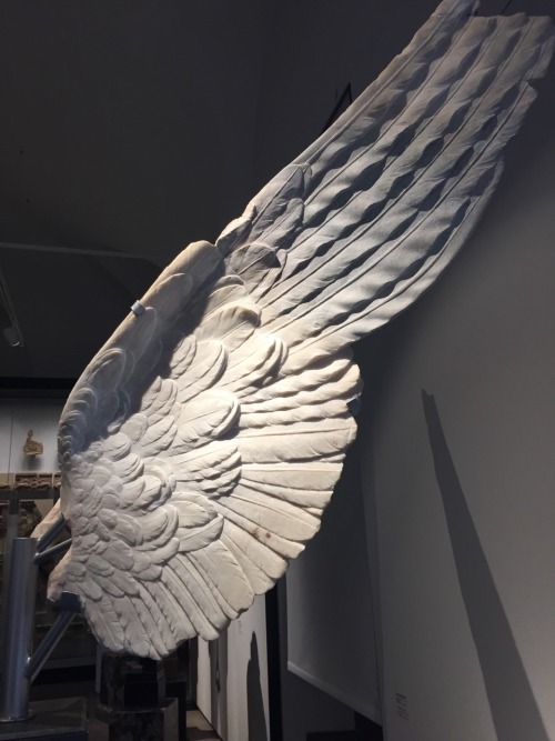 sgtpeppersofab - Marble wings, Palatine Museum.