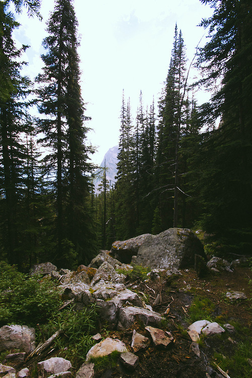 https://virl-delta-54.tumblr.com/post/85357874373