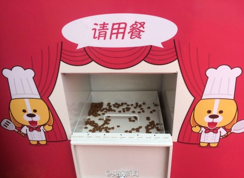 cctvnews:  China’s first recycling machine that turns bottles into dog foodThis may look like any other vending machine, but rather than needing coins, this magic metal box only requires plastic bottles. In return, it offers back food for stray dogs