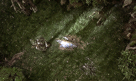574d30b96a2c9b45c95a043c94c860227b0ff6ec.gif