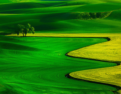 Palouse In The Springtime by kevin mcneal on Flickr.