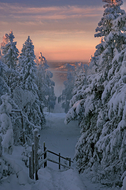 gloriousearth:
“The golden hour, Kainuu, Finland
Source: http://visitheworld.tumblr.com/post/39748032910/the-golden-hour-kainuu-finland-by-vesa-laukka #
”