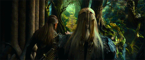  Mirkwood Elves in the Desolation of Smaug Trailer     