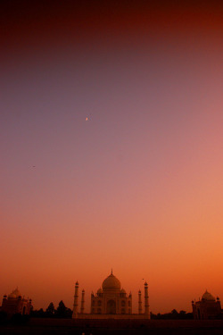 nonconcept:  The Taj Mahal, India. 