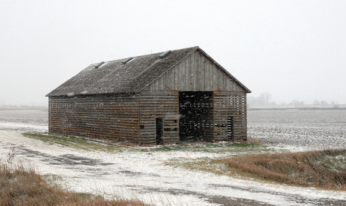 valscrapbook:  Crib in Snow Storm Near Riverton, Iowa 21 by jfranklinwillis on Flickr.