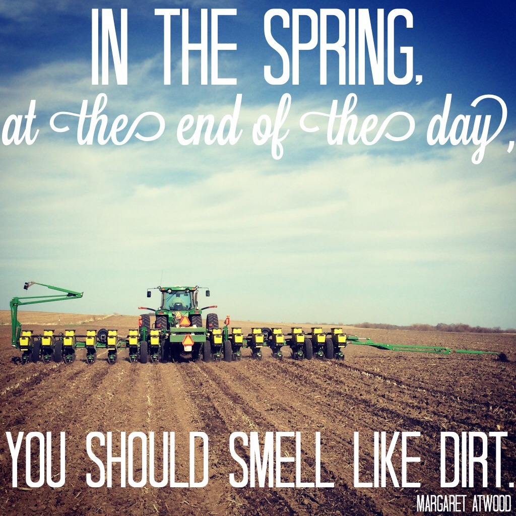 illinoisfarmersdaughter:  www.facebook.com/story.of.a.farmers.daughter