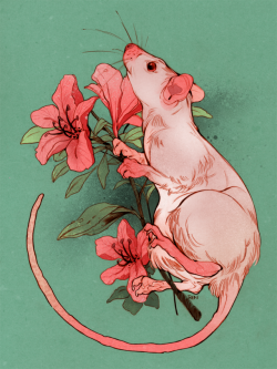 godzillabreath: pink rat and azalea commission for Paula 