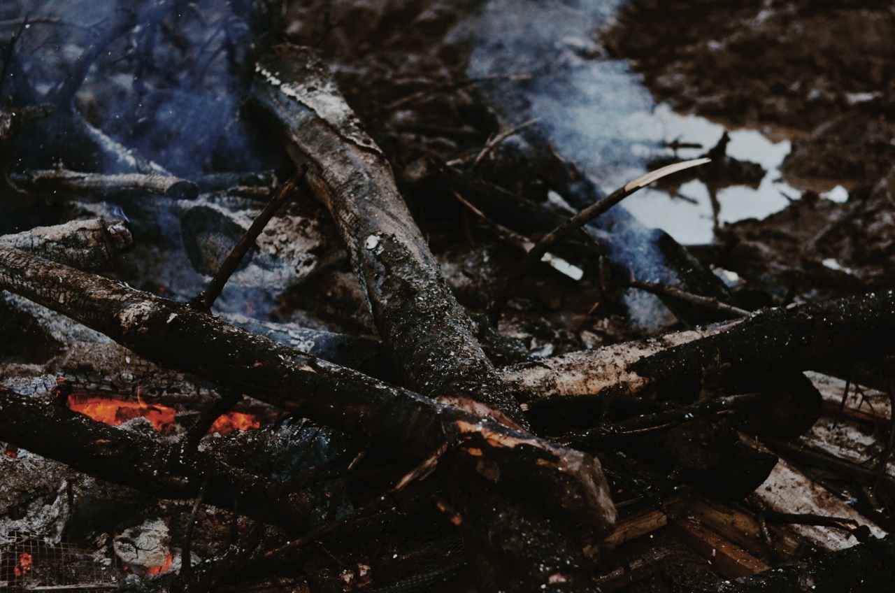 thomas-hanks:  © Thomas Hanks Photography Tumblr | Website | Facebook 