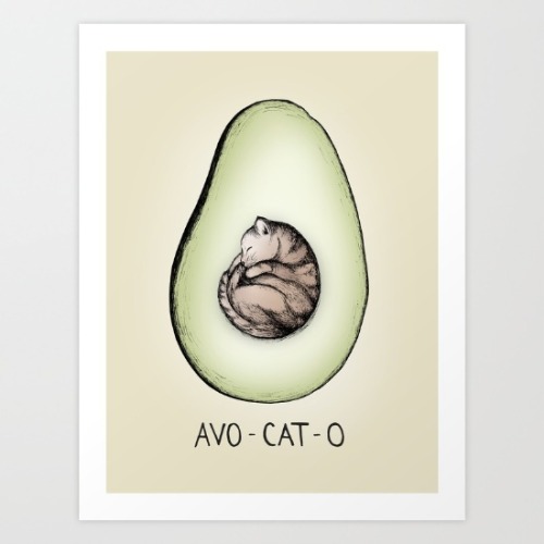 Avo-cat-oby Barlena &mdash;ohmagawd this is the cutest