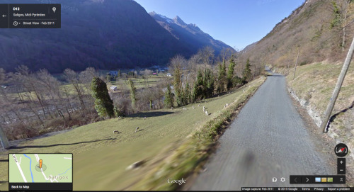 googlesheepview: Saligos, Midi-Pyrénées, FranceThanks to Tameroski for the submission!