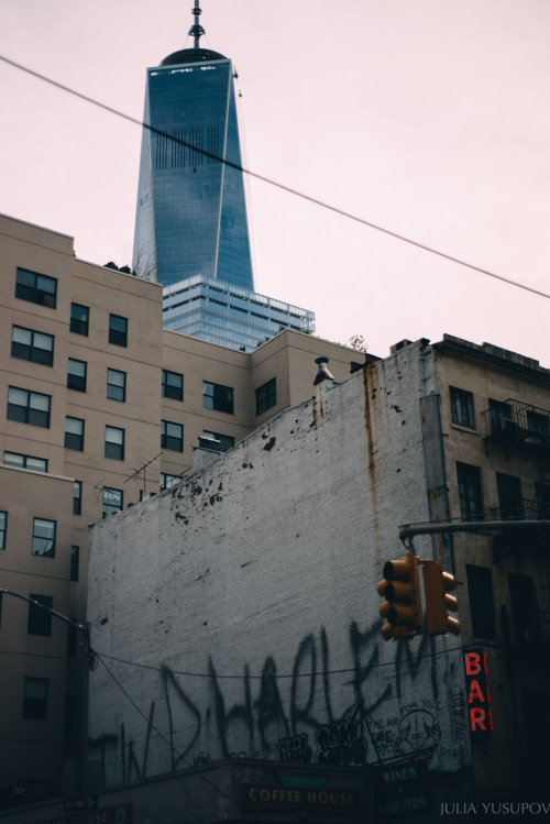 juliayusupov:  HARLEM & FREEDOM TOWER