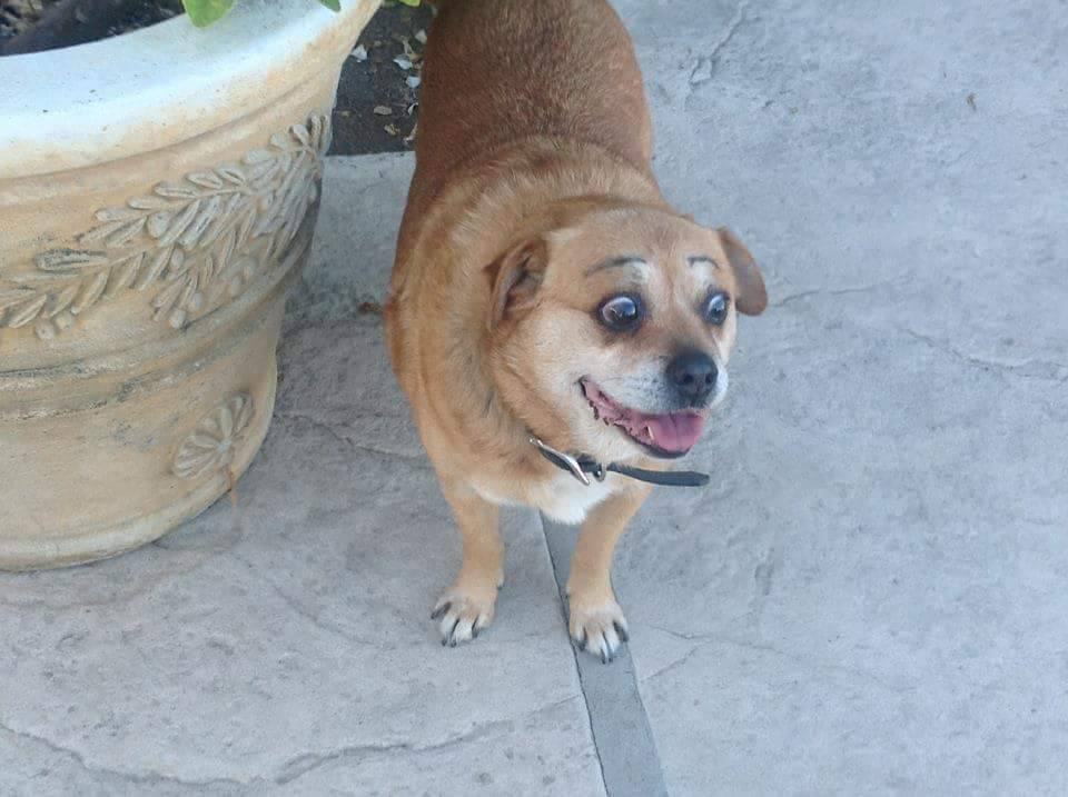 thebest-memes:  &ldquo;Someone said I drew my eyebrows too high..I was surprised!&rdquo;