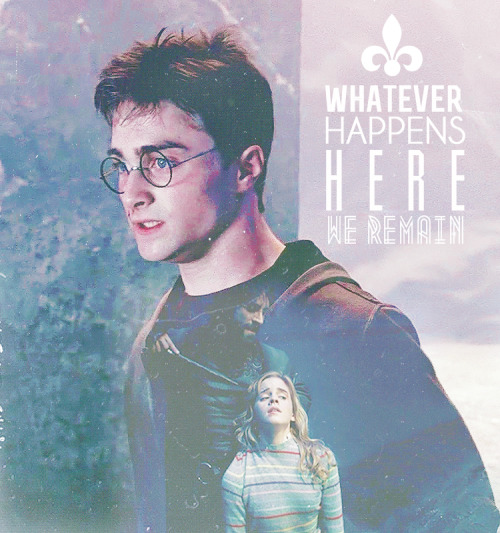 harry x hermione