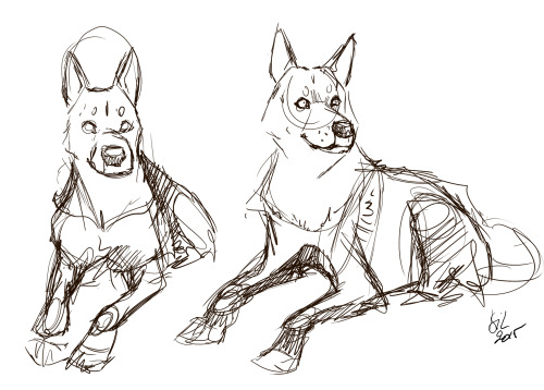 Doggy Sketches For Fun.