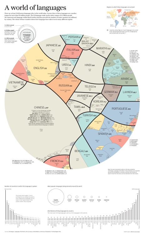 anthropolos: Languages in proportion. Find more anthropology/archaeology here. 