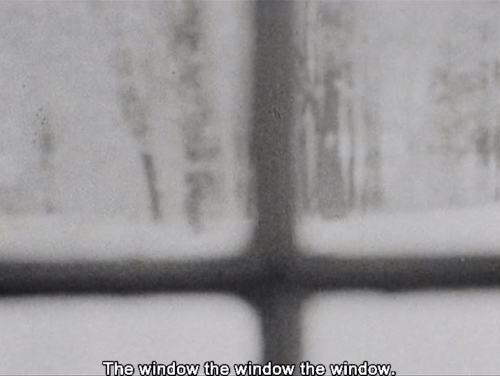 duoyen:Lost, lost, lost (1976), Jonas Mekas