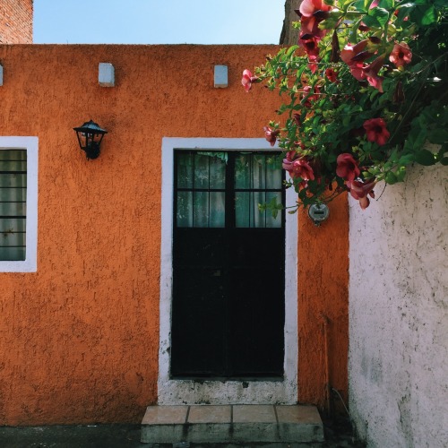 modernvag:mexico is full of colors, i’m so in love