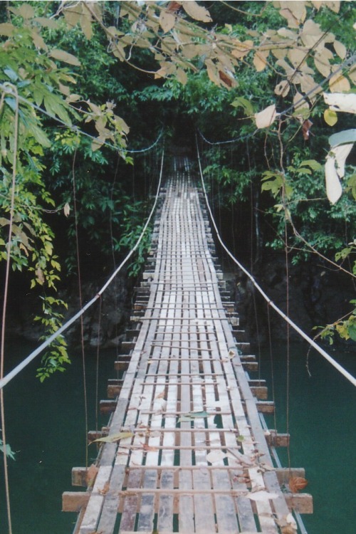 disminucion:  jungle suspension bridge, costa rica | ex_magician
