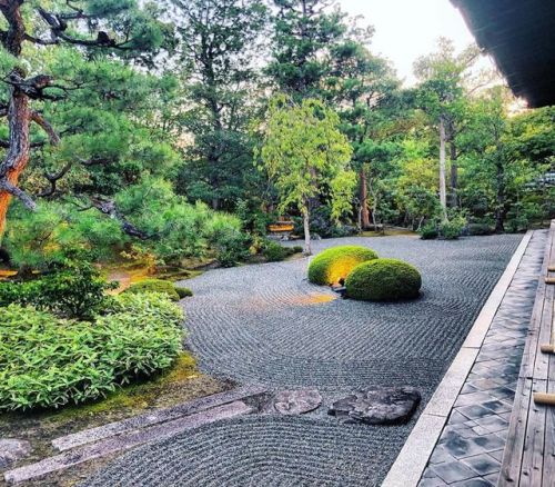 ＼おにわさん更新情報／ ‪[ 京都市右京区 ] 妙心寺 春光院庭園 Myoshin-ji Shunkoin Temple Garden, Kyoto の写真・記事を更新しました。 ーー浜松城、松江城主
