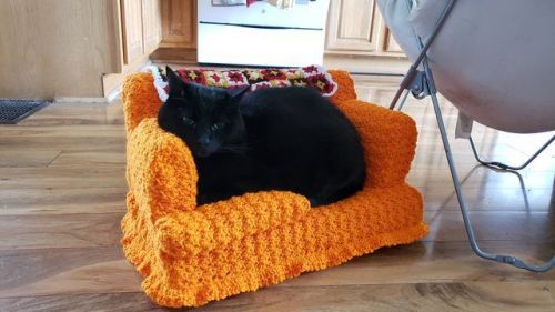 the-adventures-of-dave: puppyrazzi: catsbeaversandducks: Tiny Crochet Cat Couches With Matching Gran