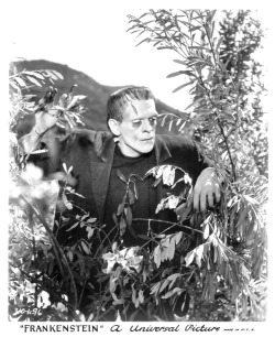zgmfd:  Frankenstein (1931)