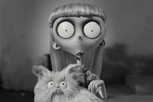 ♥ Look at differents things ♥