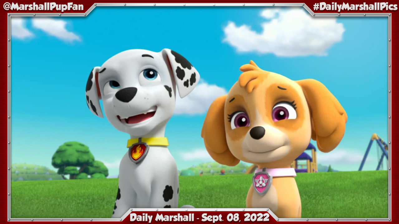 Marshall Pup Fanatic — Daily Marshall - September 08, 2022