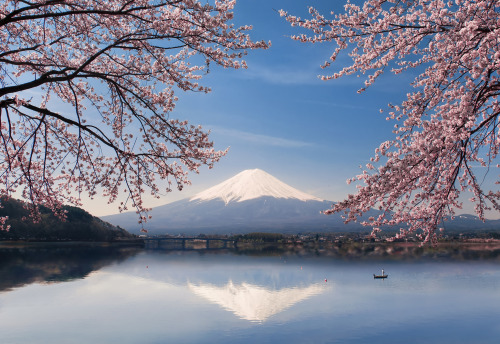earth-land:  Mount Fuji - Japan   Rising 3776 meters above sea level, Mount Fuji is Japan’s tallest mountain and most iconic landmark. Images of the nearly perfect, solitary volcano have appeared in paintings, wood block prints and other artworks for