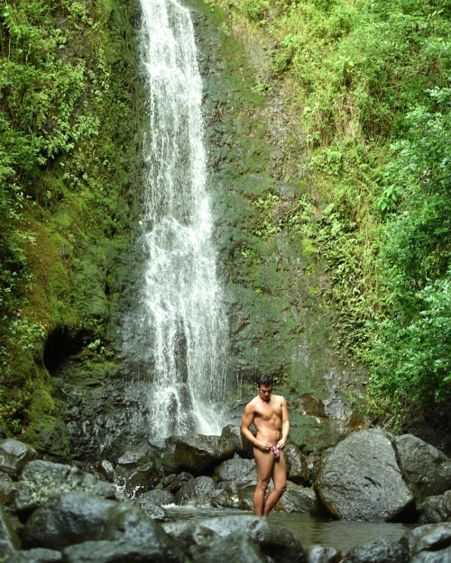 hawaiianmerman:  The waterfall made my 🐼