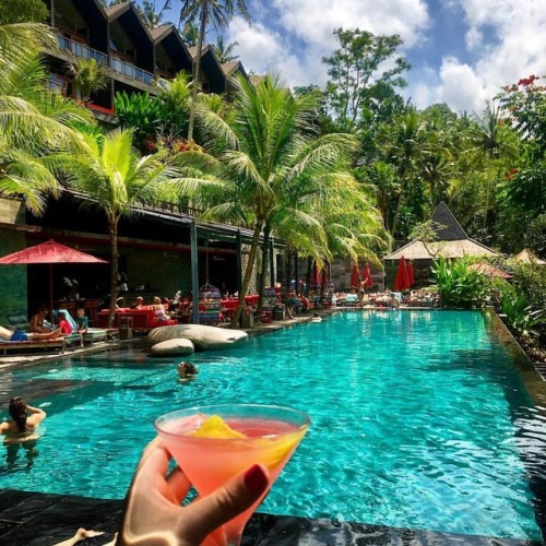 Now that’s a perfect poolHow beautiful is it here @junglefishbali shot by @onasummerholidayz