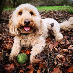 I founded a ball!! https://www.instagram.com/entrancement_uk/p/BurXw5ZHYTl/?utm_source=ig_tumblr_share&amp;igshid=1h6vsyphclwzs