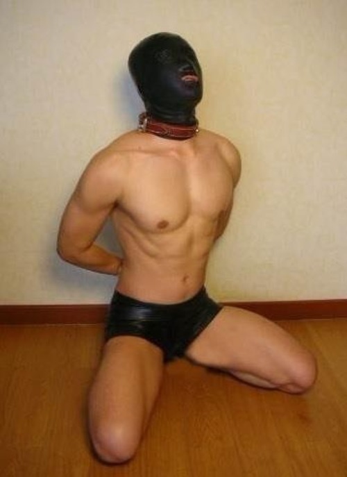 What A Proud Slave Likes