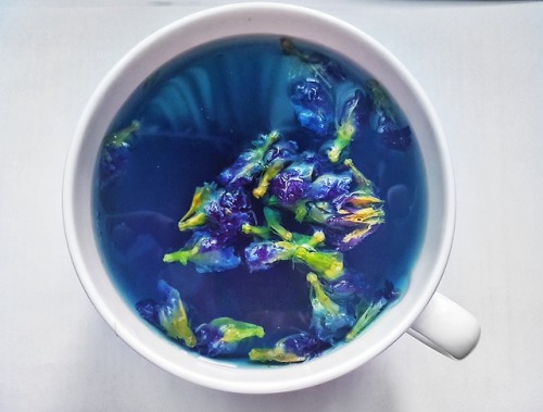 blue tea