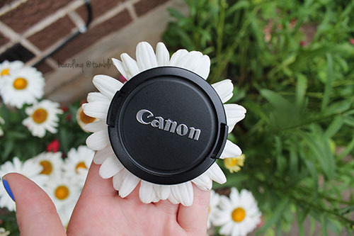 boardinq:  omG look its the extremely rare canon daisy :O 