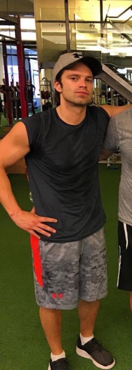 stanbuckybarnes:  Sebastian Stan+gym   porn pictures