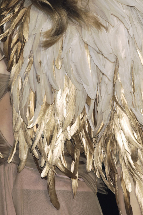 lelaid:Emanuel Ungaro F/W 2006