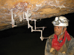 facts-i-just-made-up:  Stalactite supervisor John Sato examines new formations with disappointment. &ldquo;A proper stalactite grows downward,&rdquo; said Sato, &ldquo;But these younger stalactites are rebellious and have little respect for tradition.