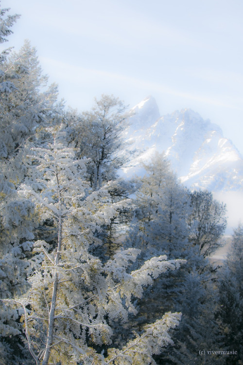 A Fantasia in Frost: Grand Teton National Park, Wyomingriverwindphotography, December, 2017