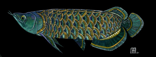 Another arowana this time in blue :)colored inks and watercolor on black mat boardprints available