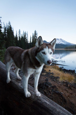 lsleofskye:  Blue Hour