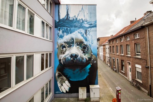nevver:  Best of the Street