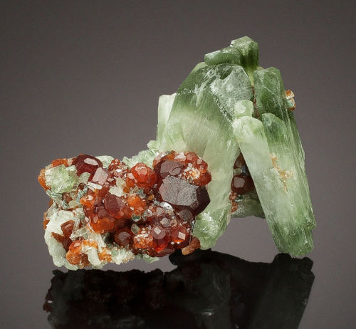 Diopside with Hessonite Garnets - Italy